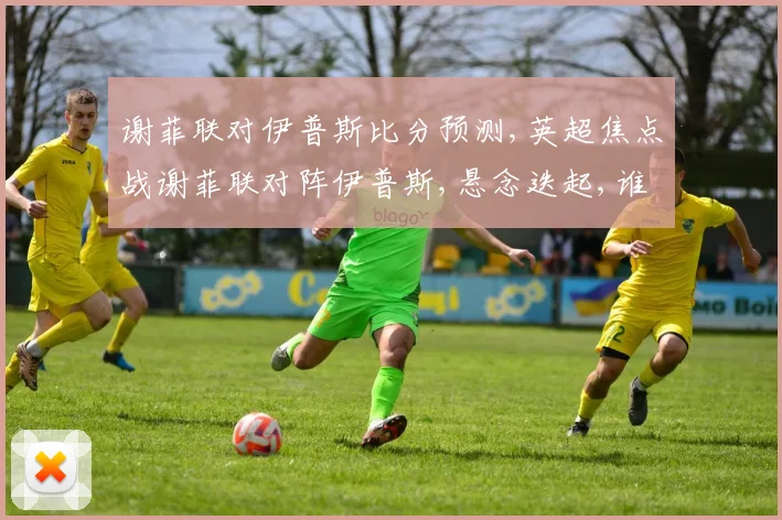 谢菲联对伊普斯比分预测,英超焦点战谢菲联对阵伊普斯,悬念迭起,谁将笑到最后