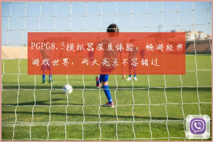 PGPG8.5模拟器深度体验，畅游经典游戏世界，两大亮点不容错过