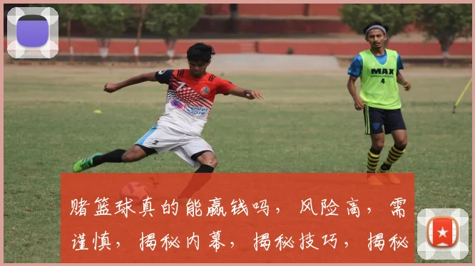 赌篮球真的能赢钱吗，风险高，需谨慎，揭秘内幕，揭秘技巧，揭秘技巧。
