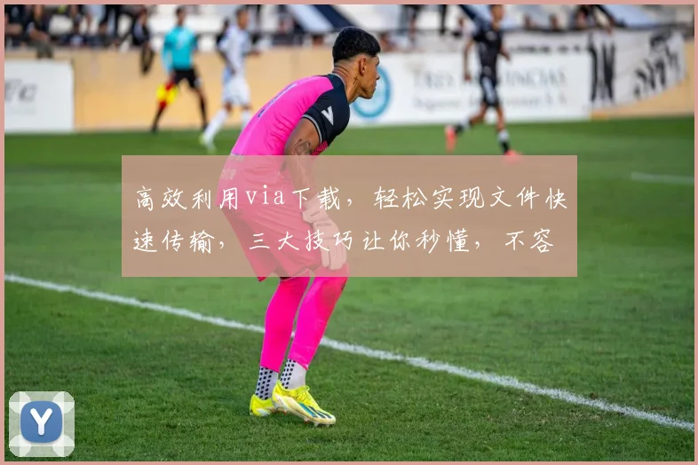 高效利用via下载，轻松实现文件快速传输，三大技巧让你秒懂，不容错过，