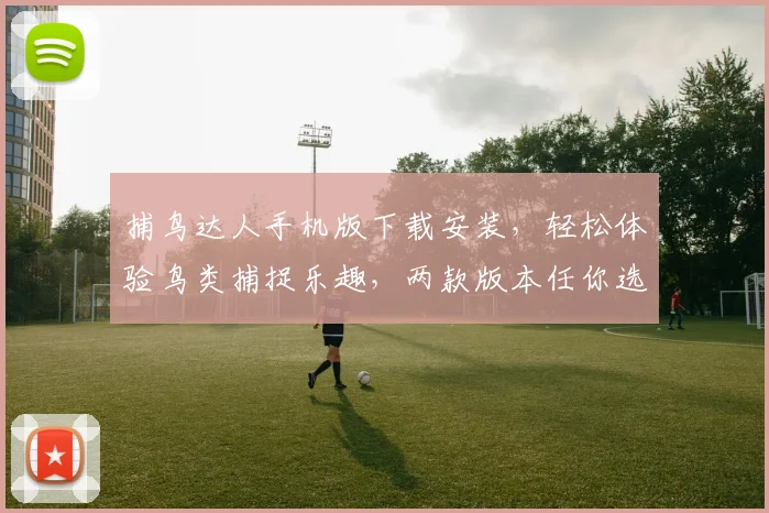 捕鸟达人手机版下载安装，轻松体验鸟类捕捉乐趣，两款版本任你选